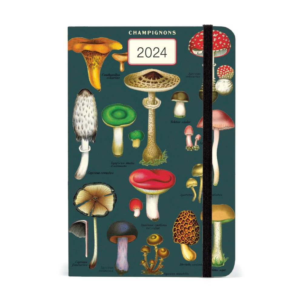 Agenda 2024 Mushrooms 12 Meses LA PAPELARIA - CAVALLINI- Depto51
