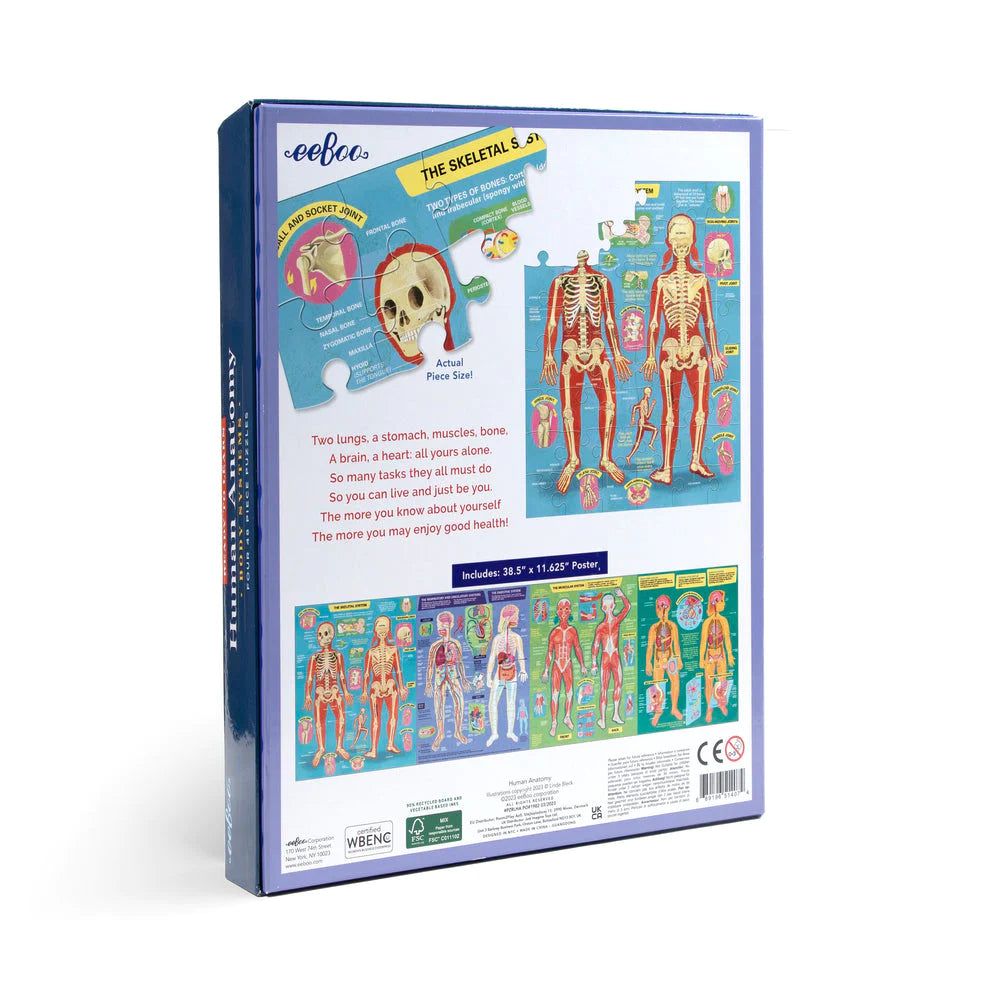 Set de 4 Puzzles 48 Piezas Anatomía Humana EEBOO- Depto51