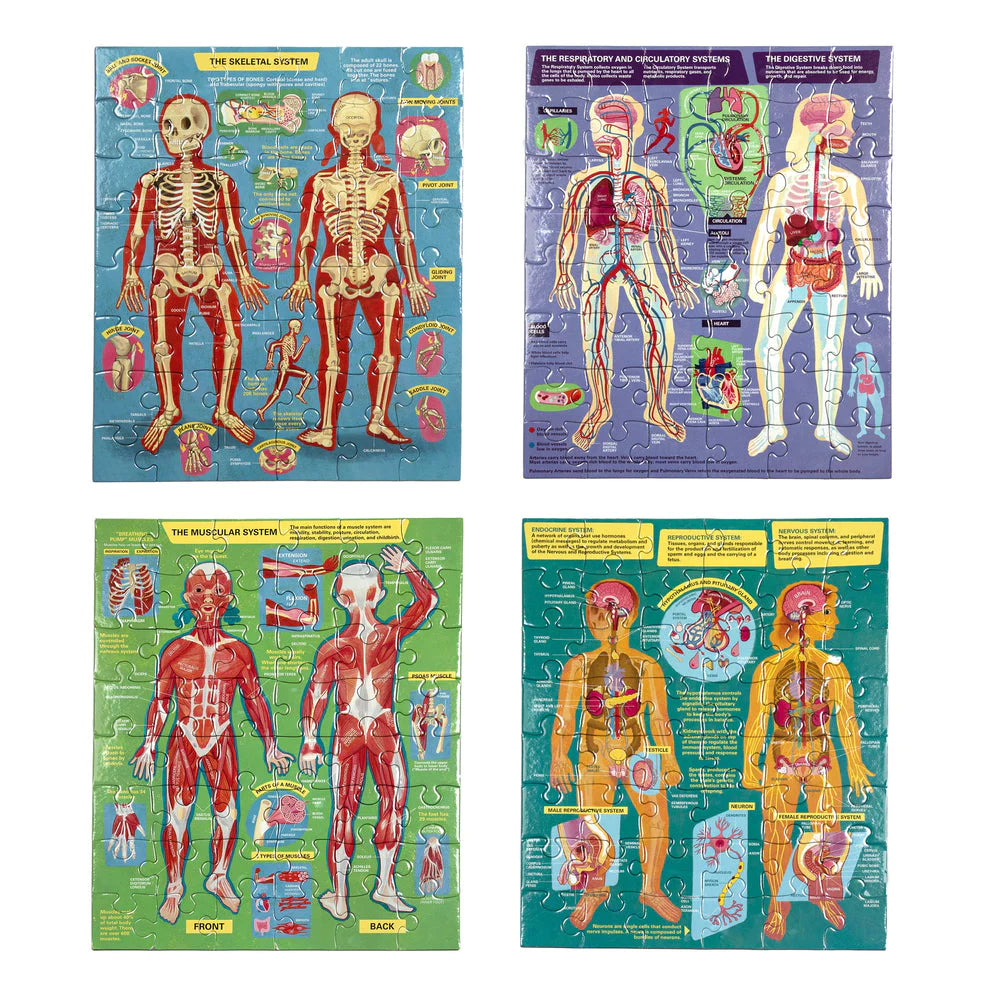 Set de 4 Puzzles 48 Piezas Anatomía Humana EEBOO- Depto51