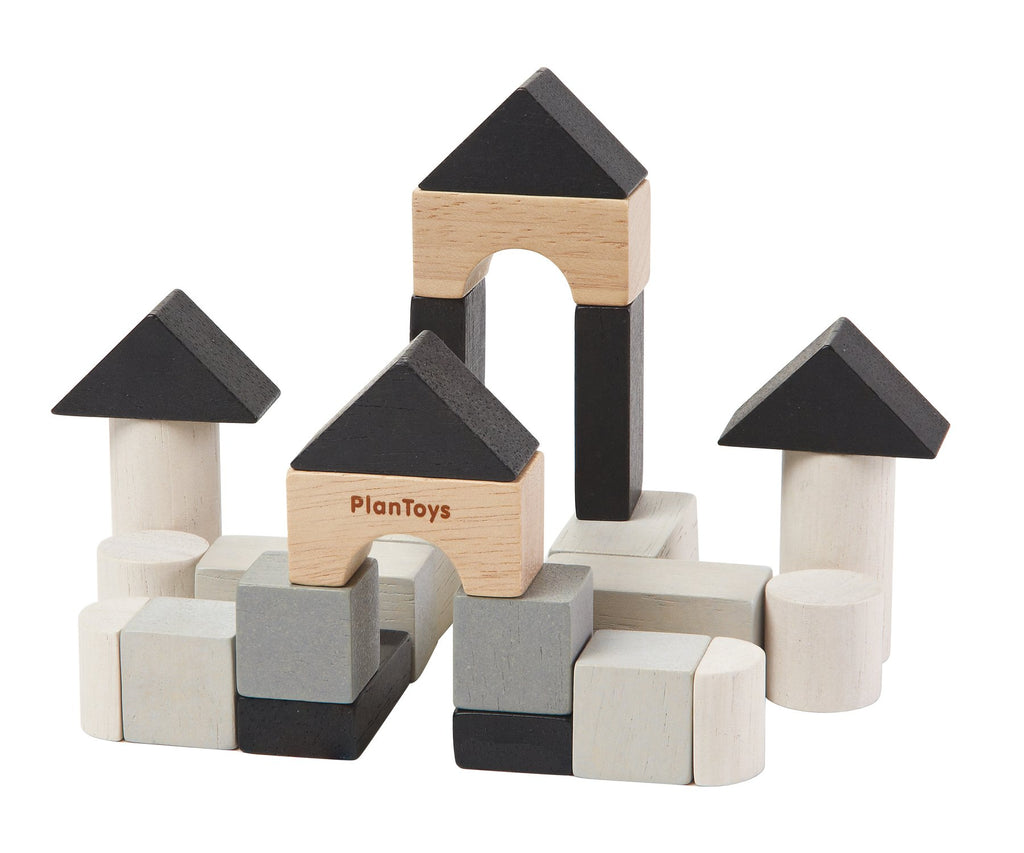 Set de Construcción 24 piezas PlanToys PLANTOYS- Depto51