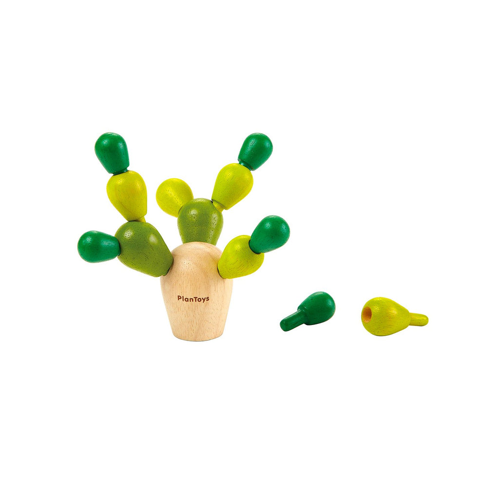 Cactus de Equilibrio Mini Plan Toys PLANTOYS- Depto51