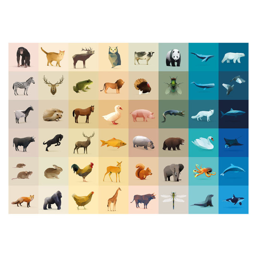 Puzzle 1000 piezas Fauna CLOUDBERRIES- Depto51