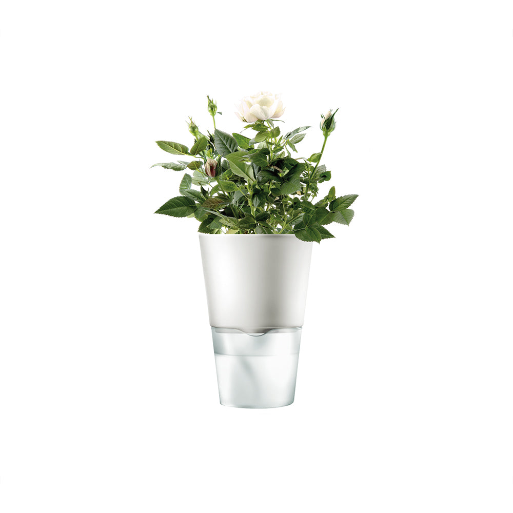 Macetero Herb Pot 11 cm Chalk White EVA SOLO- Depto51