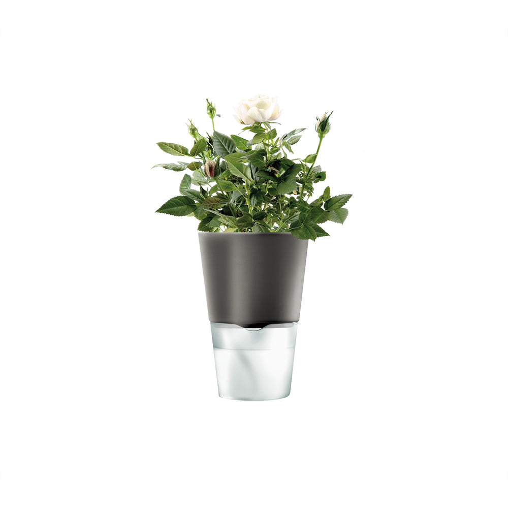 Macetero Herb Pot 11 cm Dark Grey EVA SOLO- Depto51