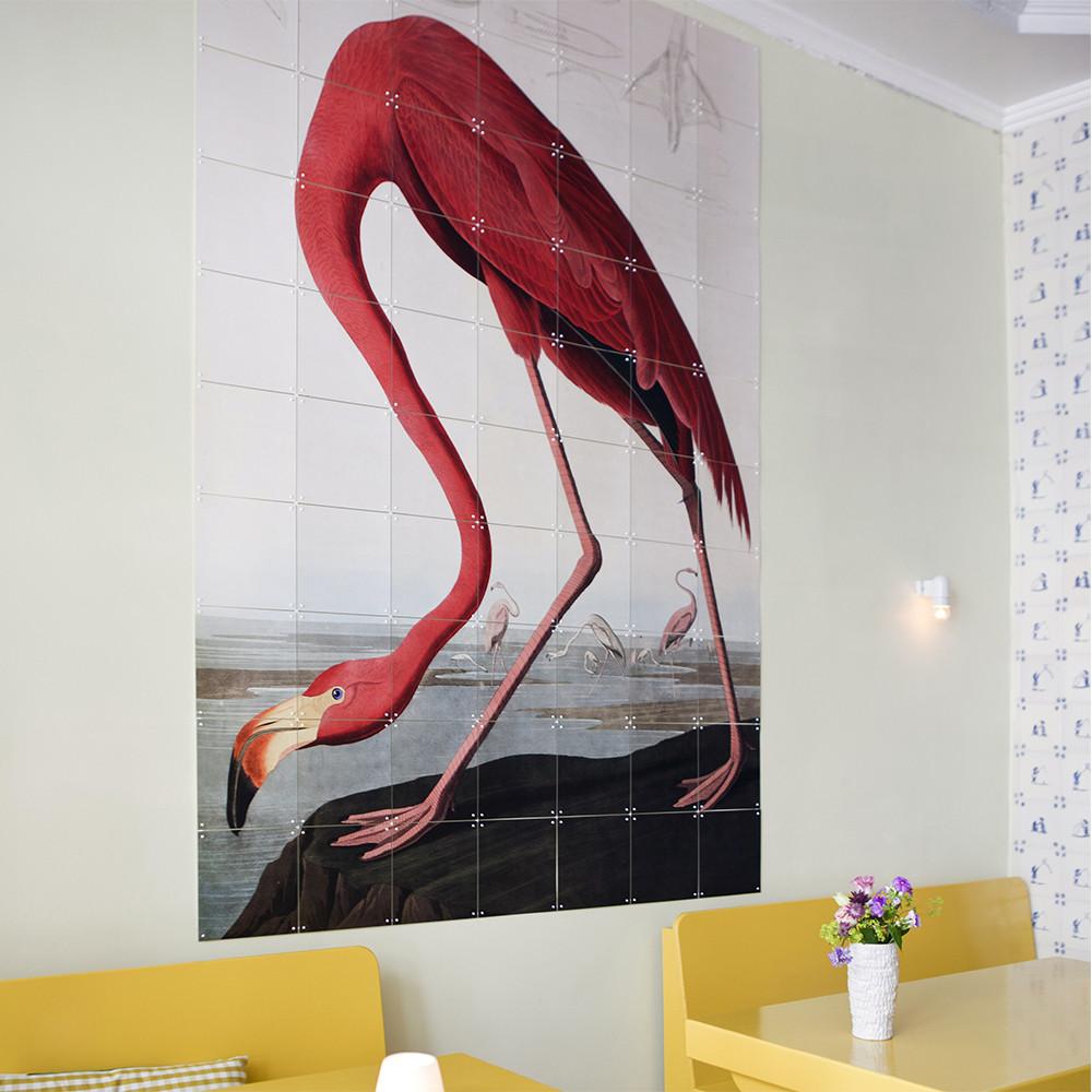 Mural Flamingo Audubon IXXI- Depto51