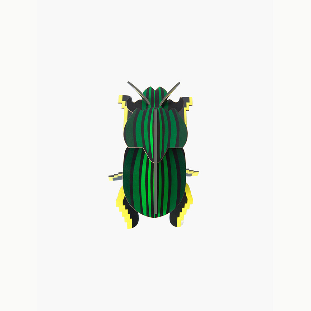 Pequeño Insecto Scarab Beetle STUDIO ROOF- Depto51