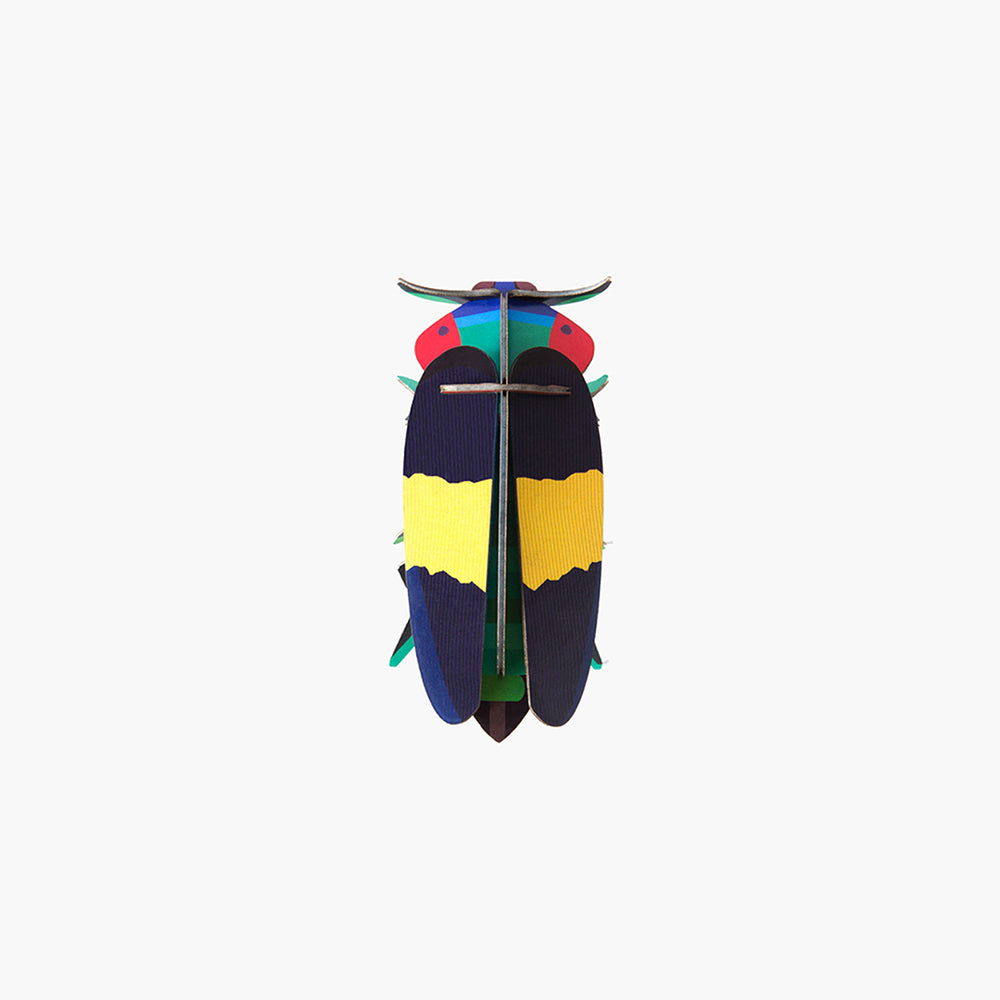 Pequeño Insecto Jewel Beetle STUDIO ROOF- Depto51