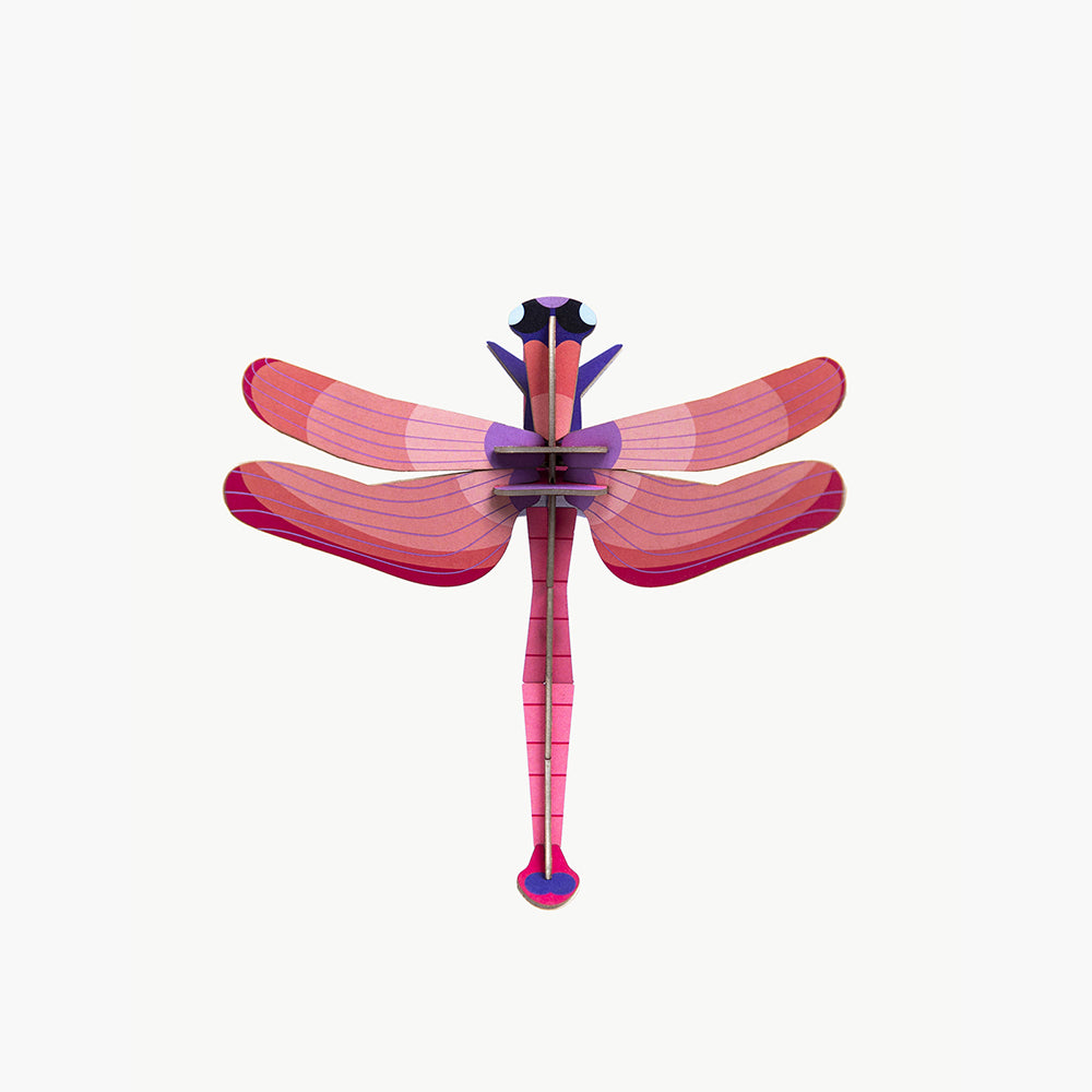 Pequeño Insecto Ruby Dragonfly STUDIO ROOF- Depto51