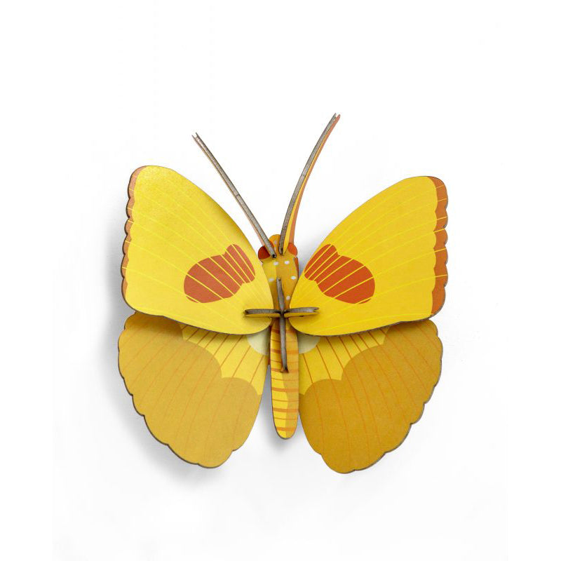 Pequeño Insecto  Yellow Butterfly - Outlet OUTLET DEPTO51- Depto51