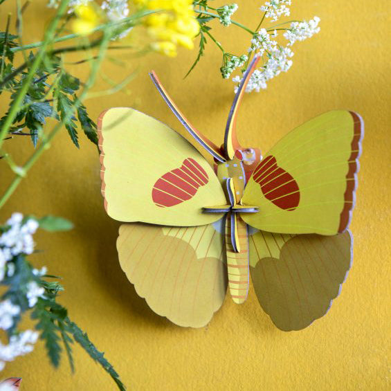 Pequeño Insecto  Yellow Butterfly STUDIO ROOF- Depto51