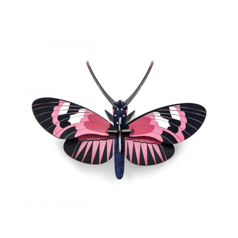 Pequeño Insecto Longwing Butterfly STUDIO ROOF- Depto51