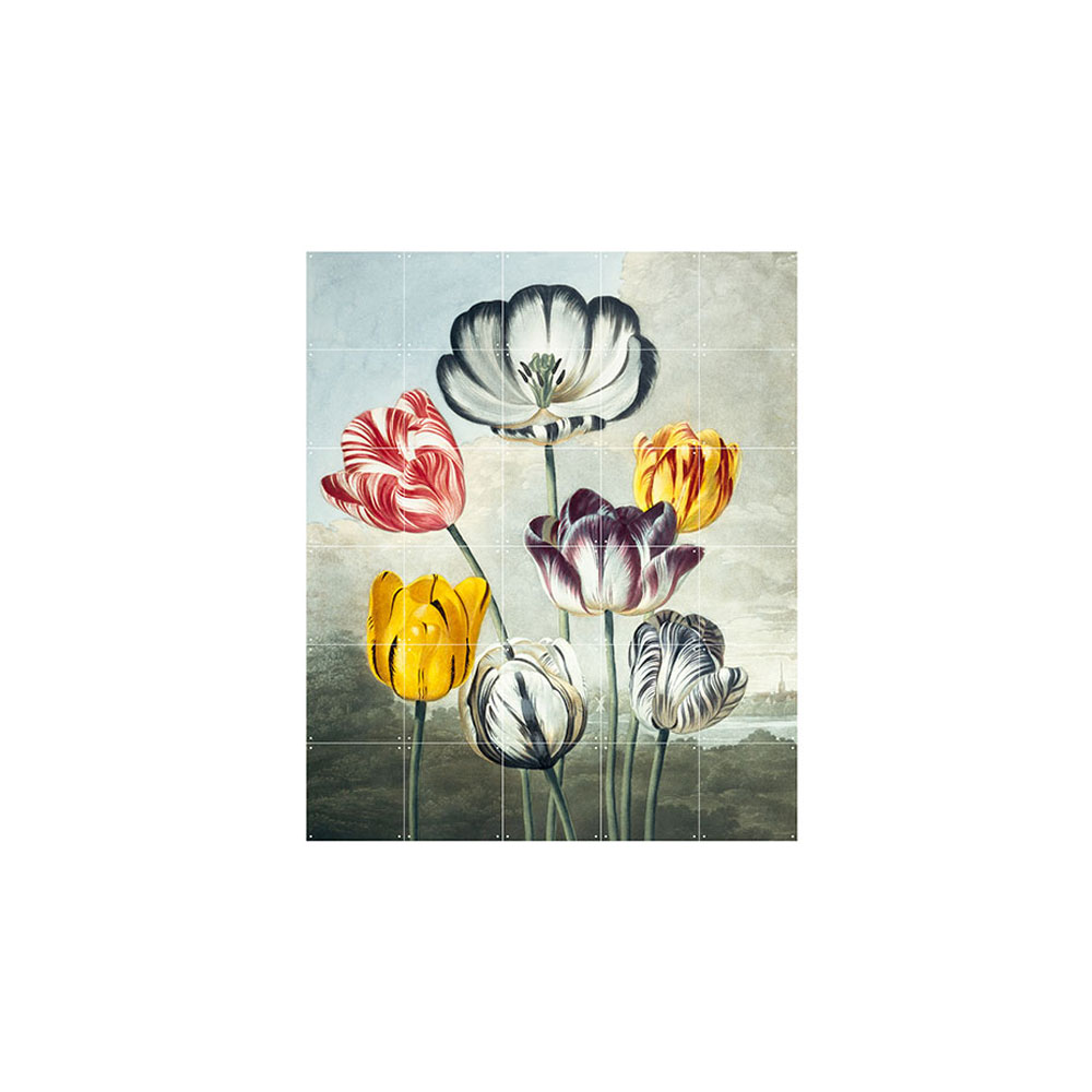 Mural Tulips IXXI- Depto51