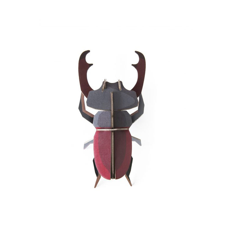 Pequeño Insecto Stag Beetle STUDIO ROOF- Depto51