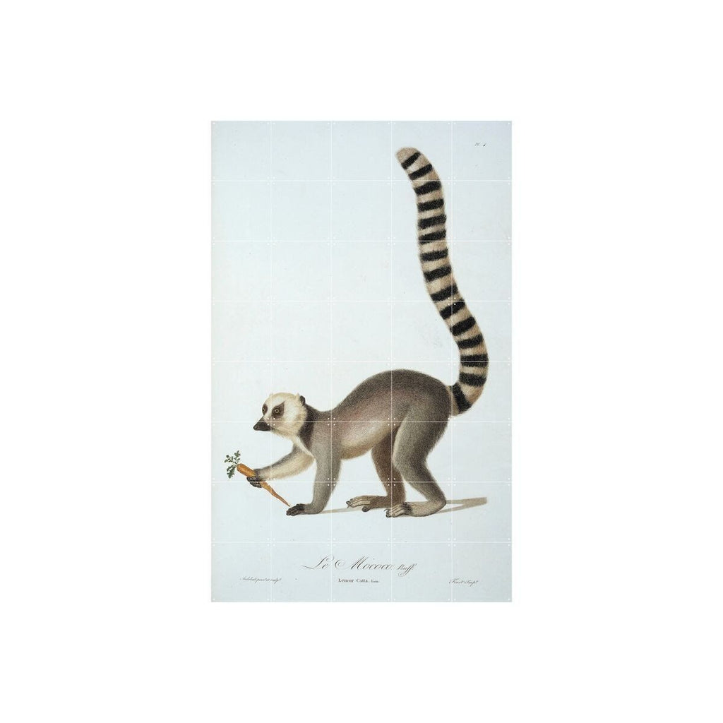 Mural Ring Tailed Lemur Small IXXI- Depto51