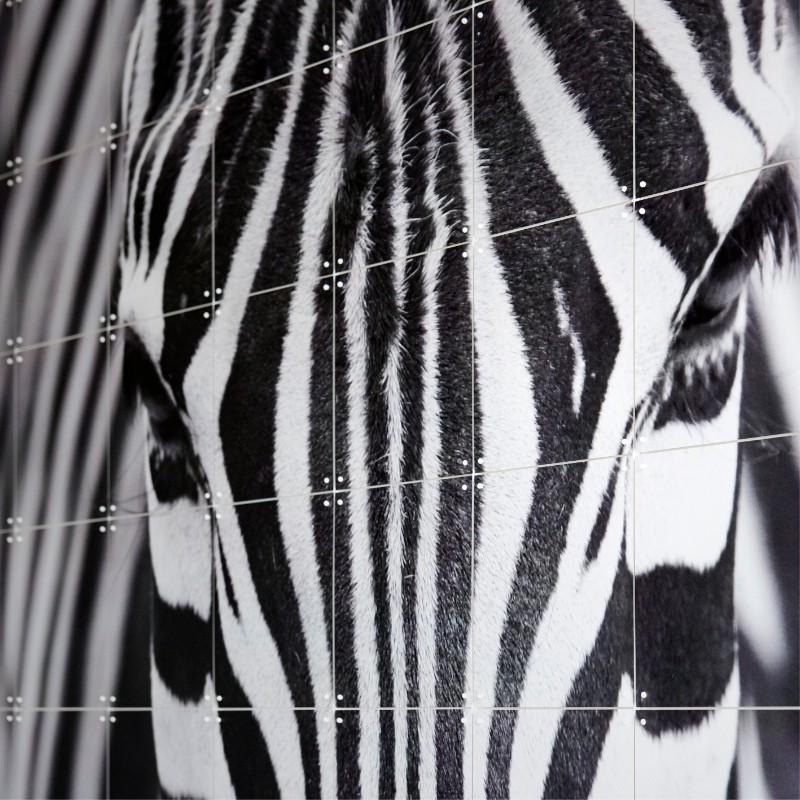Mural Zebra IXXI IXXI- Depto51