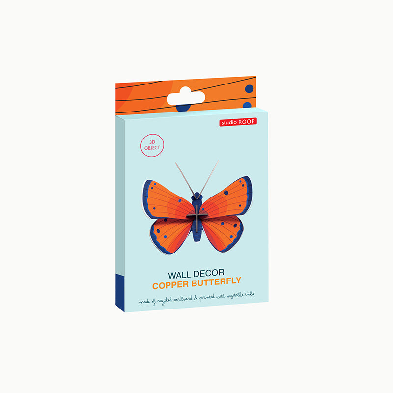 Pequeño Insecto Copper Butterfly STUDIO ROOF- Depto51