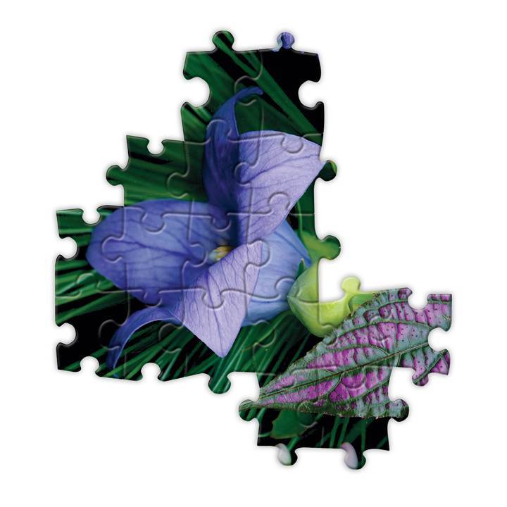Puzzle 1000 piezas Florero de Verano EEBOO- Depto51