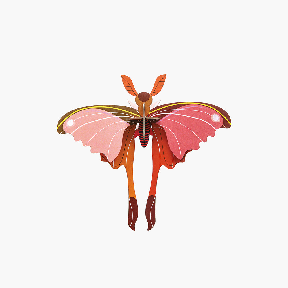 Pequeño Insecto Pink Comet Butterfly STUDIO ROOF- Depto51