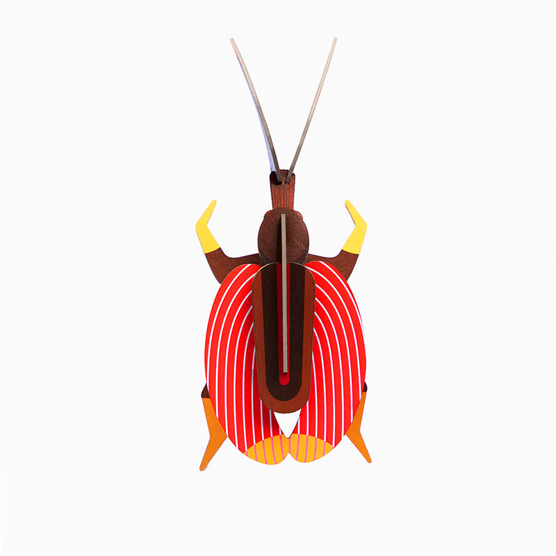 Pequeño Insecto Violin Beetle STUDIO ROOF- Depto51