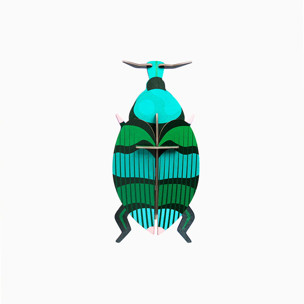Pequeño Insecto Weevil Beetle STUDIO ROOF- Depto51