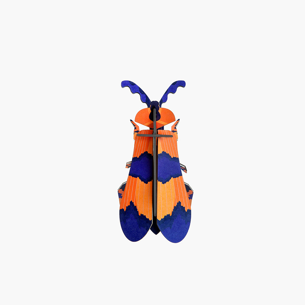 Pequeño Insecto Winged Beetle STUDIO ROOF- Depto51